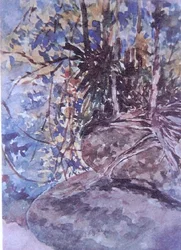 Studie - Felsen